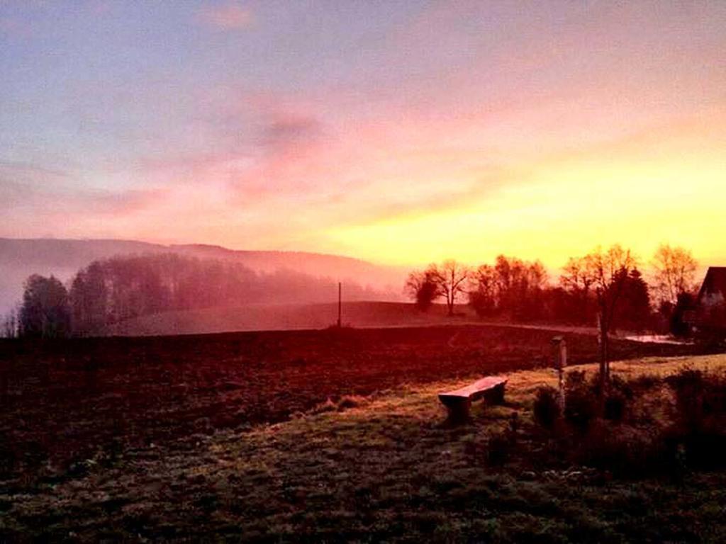 Penzion Na Cervenem Potoce Králíky Екстериор снимка
